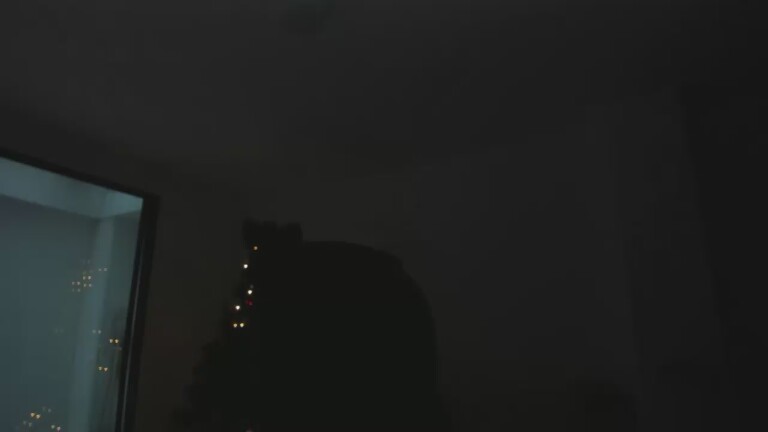 Piercingeyees's Streamate show and profile